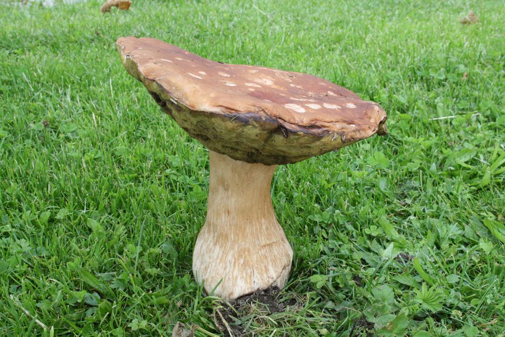 Chata Javorina Javorník المظهر الخارجي الصورة